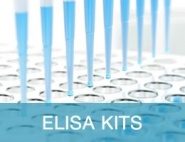 Elisa Kit